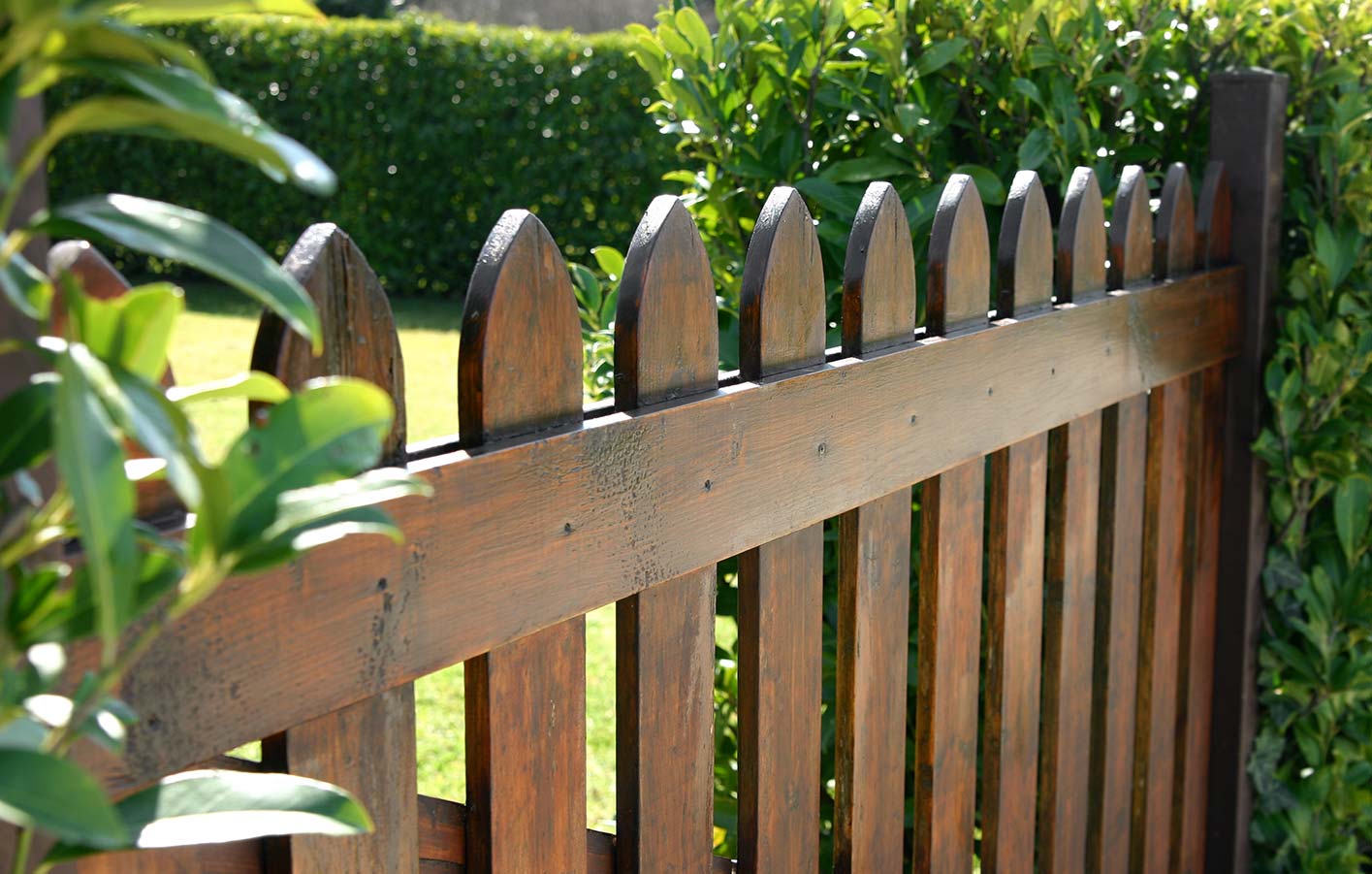 dunkel gestrichener Holzzaun im Garten umringt von Grün